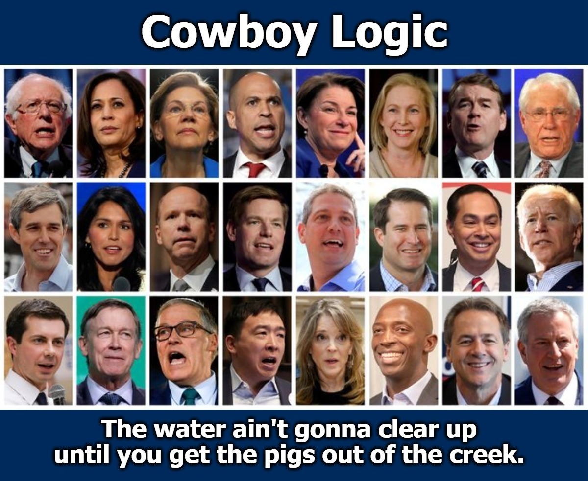 Cowboy Logic | image tagged in stupid liberals,butthurt liberals,swine,drain the swamp,cowboy wisdom,cowboy logic | made w/ Imgflip meme maker