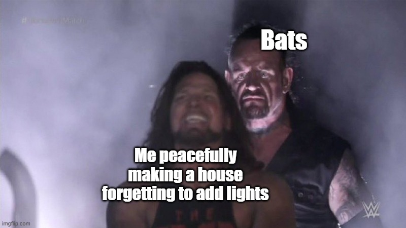 BRO WHY EVERYTIME- | Bats; Me peacefully making a house forgetting to add lights | image tagged in guy behind another guy,minecraft,memes | made w/ Imgflip meme maker