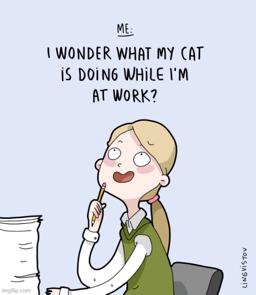 A Cat Lady's Way Of Thinking | image tagged in memes,comics,cat lady,at work,wondering,cats | made w/ Imgflip meme maker
