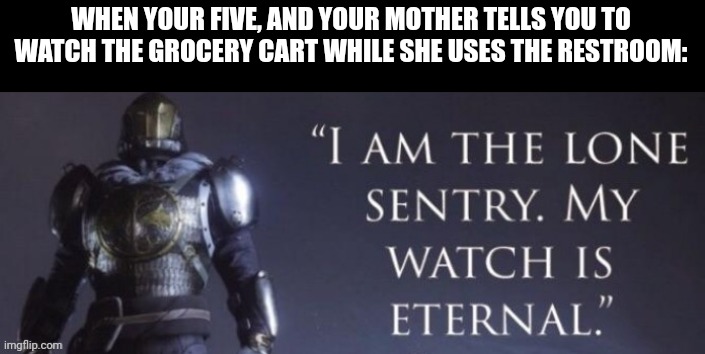 I am the lone sentry | WHEN YOUR FIVE, AND YOUR MOTHER TELLS YOU TO WATCH THE GROCERY CART WHILE SHE USES THE RESTROOM: | image tagged in i am the lone sentry | made w/ Imgflip meme maker