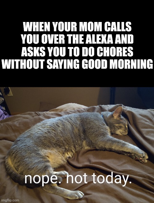 WHEN YOUR MOM CALLS YOU OVER THE ALEXA AND ASKS YOU TO DO CHORES WITHOUT SAYING GOOD MORNING | image tagged in funny,cats | made w/ Imgflip meme maker