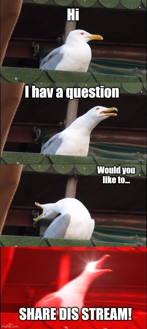 Inhaling Seagull | Hi; I hav a question; Would you like to... SHARE DIS STREAM! | image tagged in memes,inhaling seagull | made w/ Imgflip meme maker