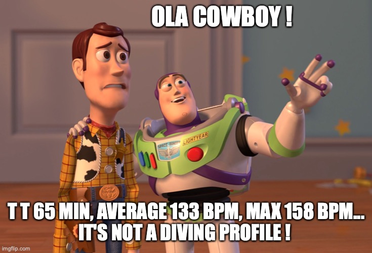 X, X Everywhere Meme | OLA COWBOY ! T T 65 MIN, AVERAGE 133 BPM, MAX 158 BPM...
IT'S NOT A DIVING PROFILE ! | image tagged in memes,x x everywhere | made w/ Imgflip meme maker