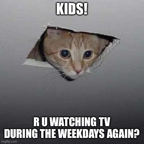 Kids Watch TV During The Weekdays | KIDS! R U WATCHING TV DURING THE WEEKDAYS AGAIN? | image tagged in memes,ceiling cat,tv,mom,weekdays | made w/ Imgflip meme maker