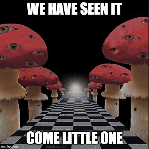 walk | WE HAVE SEEN IT; COME LITTLE ONE | image tagged in walk | made w/ Imgflip meme maker