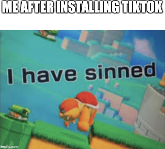yes | ME AFTER INSTALLING TIKTOK | image tagged in i have sinned | made w/ Imgflip meme maker