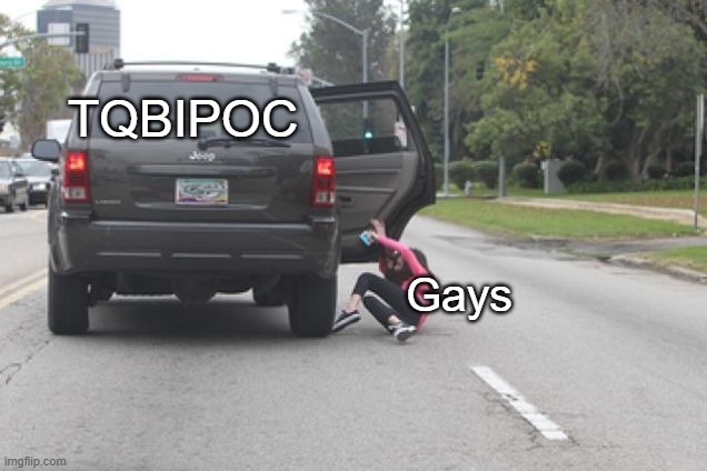 Nobody ever thinks THEY'RE the "useful idiots" | TQBIPOC; Gays | image tagged in kicked out of car | made w/ Imgflip meme maker