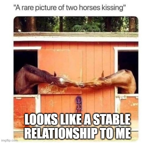 Horse Love |  LOOKS LIKE A STABLE RELATIONSHIP TO ME | image tagged in eyeroll | made w/ Imgflip meme maker