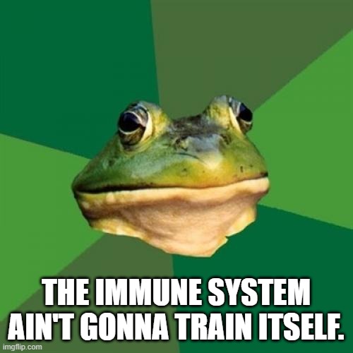 Foul Bachelor Frog Meme | THE IMMUNE SYSTEM AIN'T GONNA TRAIN ITSELF. | image tagged in memes,foul bachelor frog | made w/ Imgflip meme maker