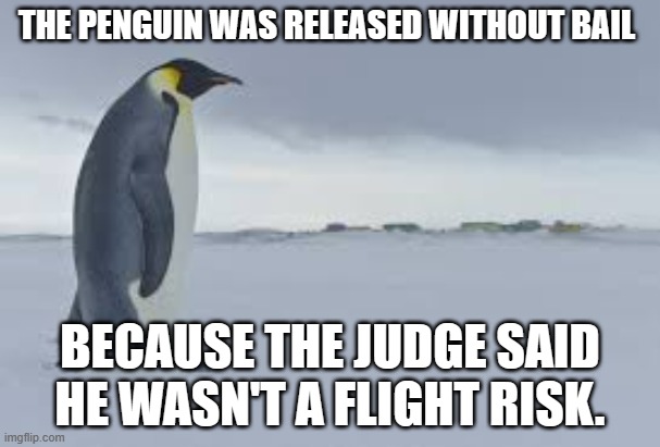 Meme By Brad Penguin Bail Imgflip