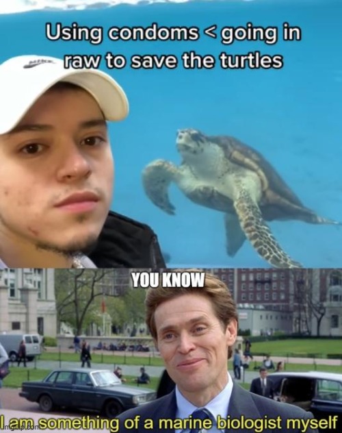 image tagged in repost,marines,turtles,memes,funny,you know | made w/ Imgflip meme maker