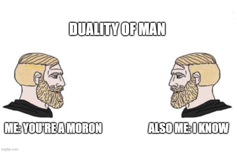 Duality of man | DUALITY OF MAN; ALSO ME: I KNOW; ME: YOU'RE A MORON | image tagged in double yes chad | made w/ Imgflip meme maker