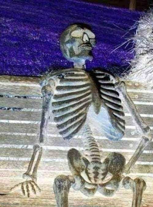 Waiting Skeleton Meme | image tagged in memes,waiting skeleton | made w/ Imgflip meme maker