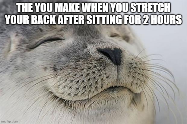 i know you've all done this | THE YOU MAKE WHEN YOU STRETCH YOUR BACK AFTER SITTING FOR 2 HOURS | image tagged in memes,satisfied seal | made w/ Imgflip meme maker