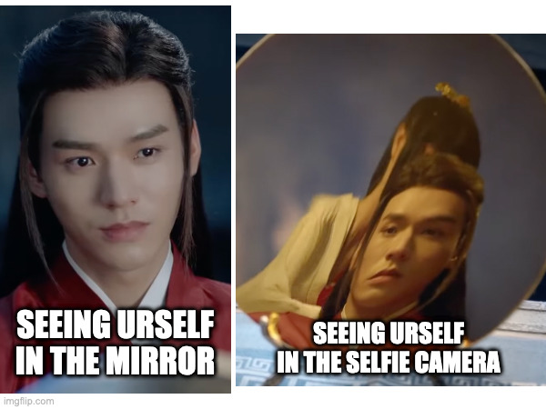 why i don't take selfies | SEEING URSELF IN THE MIRROR; SEEING URSELF IN THE SELFIE CAMERA | image tagged in word of honor,wen kexing,gong jun,selfies | made w/ Imgflip meme maker