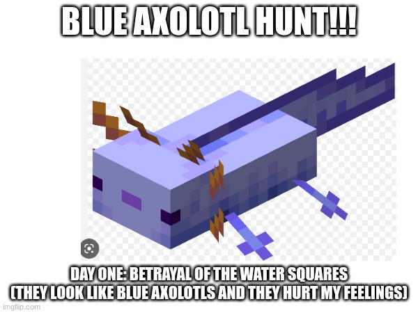 i feel like henry the VIII; ill explain later | BLUE AXOLOTL HUNT!!! DAY ONE: BETRAYAL OF THE WATER SQUARES
(THEY LOOK LIKE BLUE AXOLOTLS AND THEY HURT MY FEELINGS) | image tagged in axolotl,blue,minecraft,rare,annoying,help | made w/ Imgflip meme maker