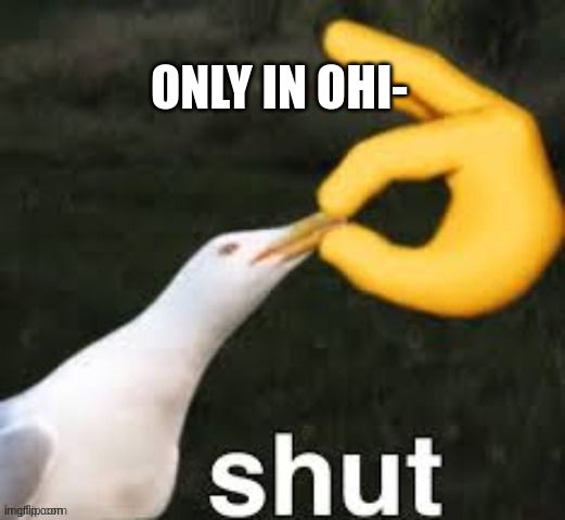 is anyone else annoyed of kids using "only in ohio"? |  ONLY IN OHI- | image tagged in only in ohio,ohio,shut up,funny memes | made w/ Imgflip meme maker