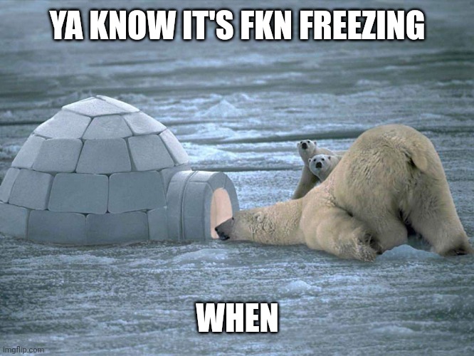 Polar Bear Igloo | YA KNOW IT'S FKN FREEZING; WHEN | image tagged in polar bear igloo | made w/ Imgflip meme maker
