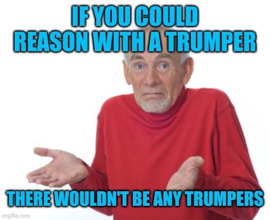 Guess I'll die  | IF YOU COULD REASON WITH A TRUMPER THERE WOULDN'T BE ANY TRUMPERS | image tagged in guess i'll die | made w/ Imgflip meme maker