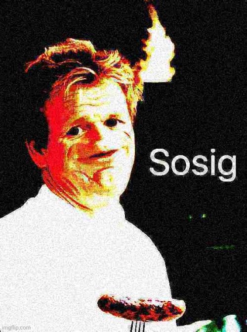 Sosig | image tagged in sosig deep fried | made w/ Imgflip meme maker