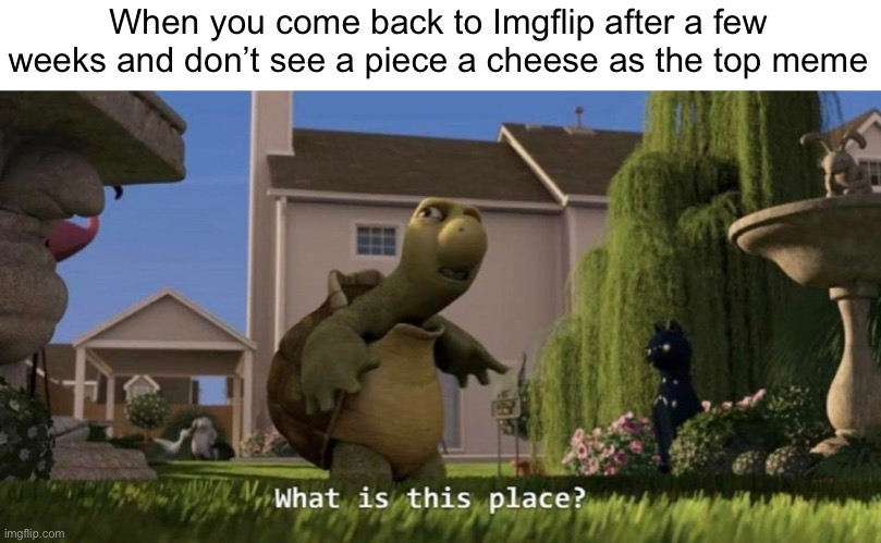 What is this place | When you come back to Imgflip after a few weeks and don’t see a piece a cheese as the top meme | image tagged in what is this place,funny memes,memes,imgflip,what | made w/ Imgflip meme maker