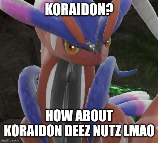 Meh | KORAIDON? HOW ABOUT KORAIDON DEEZ NUTZ LMAO | image tagged in koraidon no bitches | made w/ Imgflip meme maker