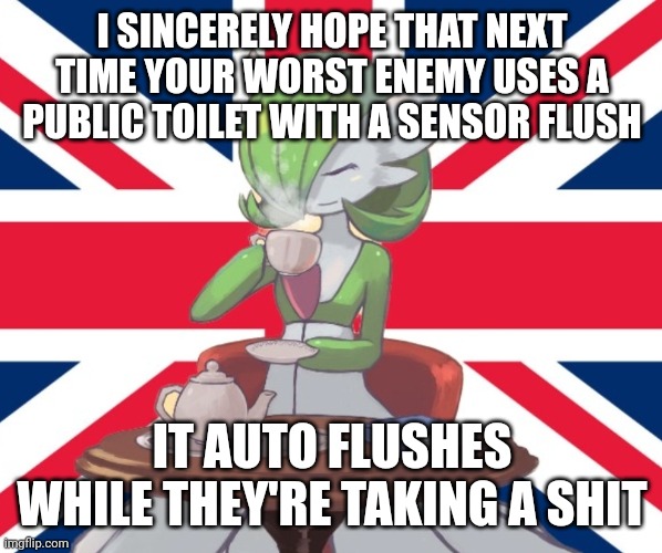 Insanely Awful Insults #1 | I SINCERELY HOPE THAT NEXT TIME YOUR WORST ENEMY USES A PUBLIC TOILET WITH A SENSOR FLUSH; IT AUTO FLUSHES WHILE THEY'RE TAKING A SHIT | image tagged in gardi the bri'ish | made w/ Imgflip meme maker