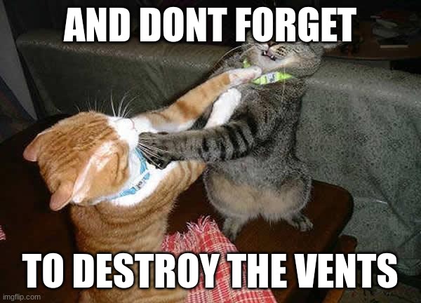 Two cats fighting for real | AND DONT FORGET TO DESTROY THE VENTS | image tagged in two cats fighting for real | made w/ Imgflip meme maker