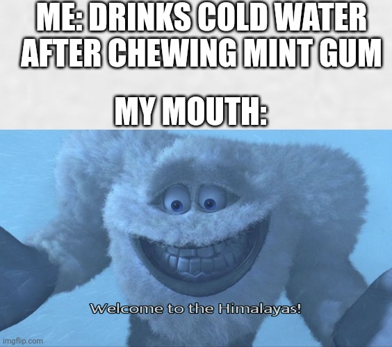 Deis from coldness |  ME: DRINKS COLD WATER AFTER CHEWING MINT GUM; MY MOUTH: | image tagged in welcome to the himalayas,gum | made w/ Imgflip meme maker