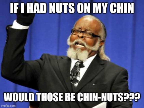 Too Damn High | IF I HAD NUTS ON MY CHIN; WOULD THOSE BE CHIN-NUTS??? | image tagged in memes,too damn high | made w/ Imgflip meme maker