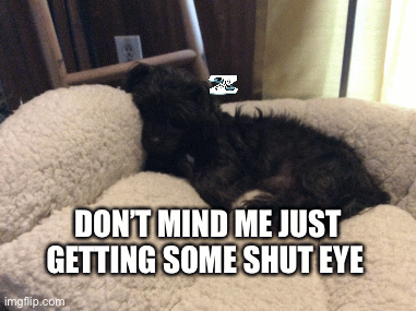 I’m good | DON’T MIND ME JUST GETTING SOME SHUT EYE | image tagged in gifs,cody,memes | made w/ Imgflip images-to-gif maker