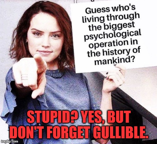 Gullible | STUPID? YES, BUT DON'T FORGET GULLIBLE. | image tagged in gullible | made w/ Imgflip meme maker