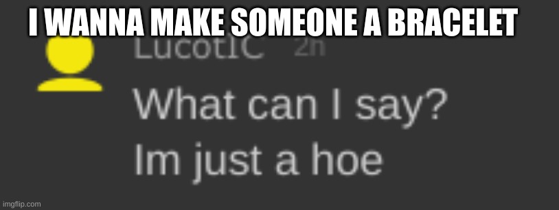 im just a hoe | I WANNA MAKE SOMEONE A BRACELET | image tagged in im just a hoe | made w/ Imgflip meme maker
