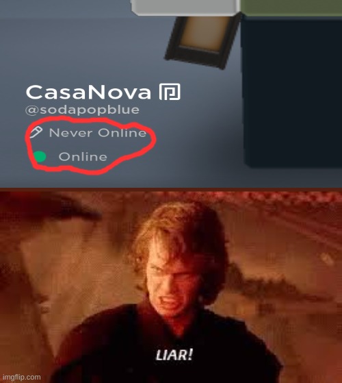 LIAR | image tagged in anakin liar,memes,funny,roblox | made w/ Imgflip meme maker