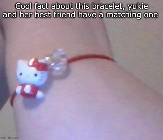 ye | Cool fact about this bracelet, yukie and her best friend have a matching one | made w/ Imgflip meme maker