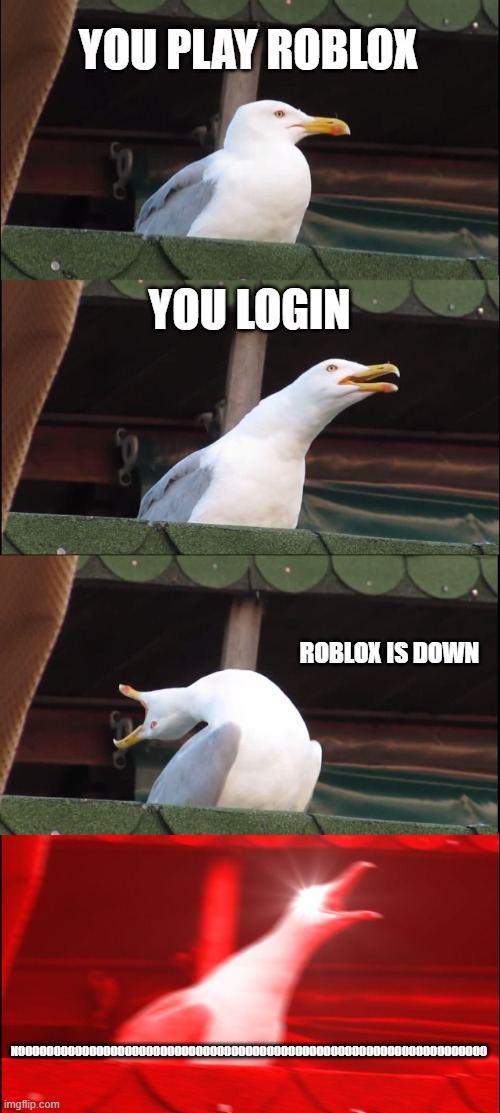 Inhaling Seagull Meme | YOU PLAY ROBLOX; YOU LOGIN; ROBLOX IS DOWN; NOOOOOOOOOOOOOOOOOOOOOOOOOOOOOOOOOOOOOOOOOOOOOOOOOOOOOOOOOOOOOOOOOO | image tagged in memes,inhaling seagull | made w/ Imgflip meme maker