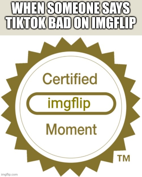 Certified imgflip moment | WHEN SOMEONE SAYS TIKTOK BAD ON IMGFLIP | image tagged in certified imgflip moment,tiktok | made w/ Imgflip meme maker