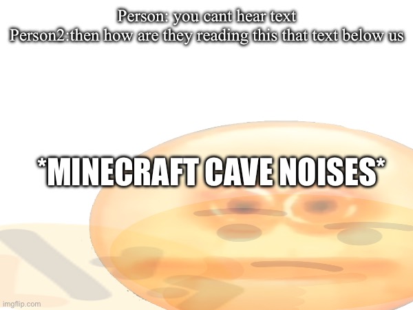 AAAAAAAAAAAAAAAAH | Person: you cant hear text
Person2:then how are they reading this that text below us; *MINECRAFT CAVE NOISES* | image tagged in certified give me a second moment | made w/ Imgflip meme maker