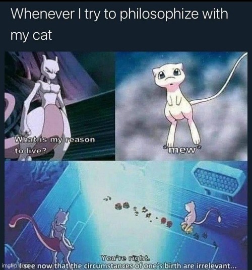 image tagged in mewtwo | made w/ Imgflip meme maker