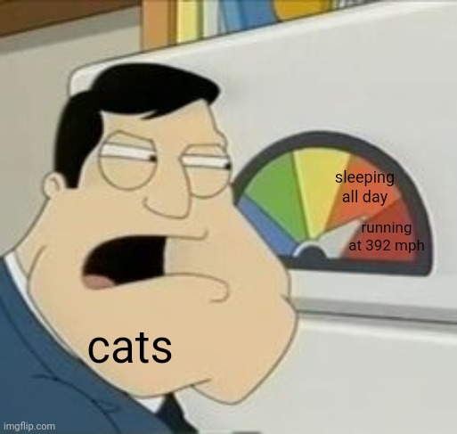 my cats always do this | sleeping all day; running at 392 mph; cats | image tagged in stan meter,memes | made w/ Imgflip meme maker