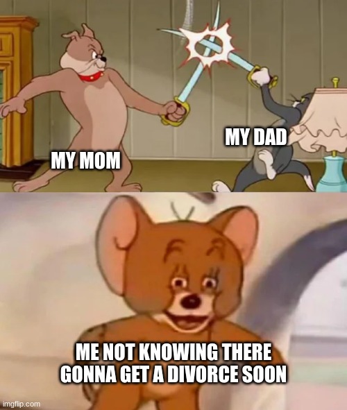 nice fight-an apsolute idiot | MY DAD; MY MOM; ME NOT KNOWING THERE GONNA GET A DIVORCE SOON | image tagged in tom and spike fighting | made w/ Imgflip meme maker