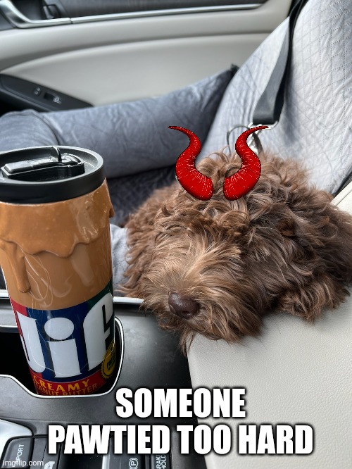 DEVIL DOG | SOMEONE PAWTIED TOO HARD | image tagged in devil | made w/ Imgflip meme maker