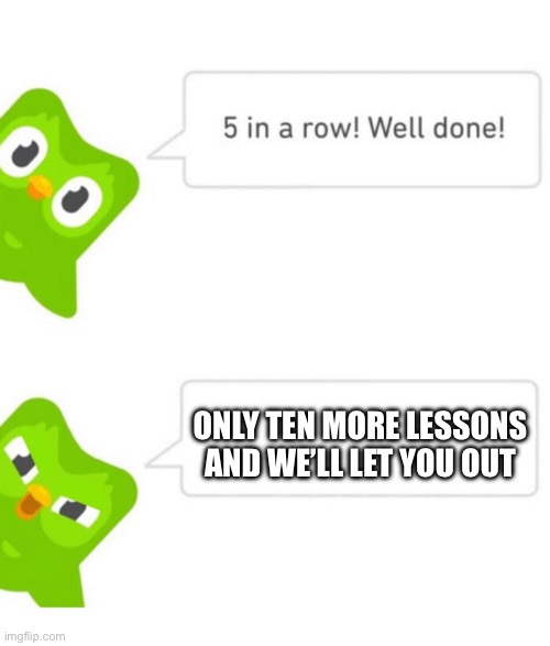 Duolingo 5 in a row | ONLY TEN MORE LESSONS AND WE’LL LET YOU OUT | image tagged in duolingo 5 in a row | made w/ Imgflip meme maker