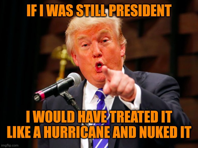 Trump balloon | IF I WAS STILL PRESIDENT I WOULD HAVE TREATED IT LIKE A HURRICANE AND NUKED IT | image tagged in trump point | made w/ Imgflip meme maker
