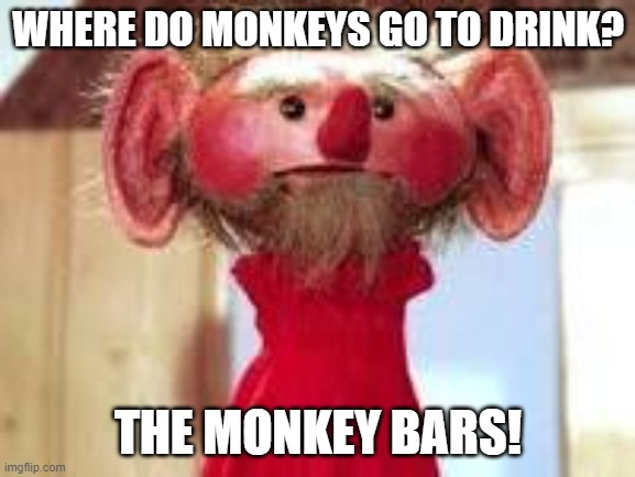 Scrawl | WHERE DO MONKEYS GO TO DRINK? THE MONKEY BARS! | image tagged in scrawl | made w/ Imgflip meme maker
