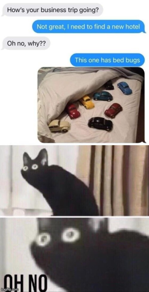 Bed bugs | image tagged in oh no cat,reposts,repost,memes,bed bugs,text messages | made w/ Imgflip meme maker