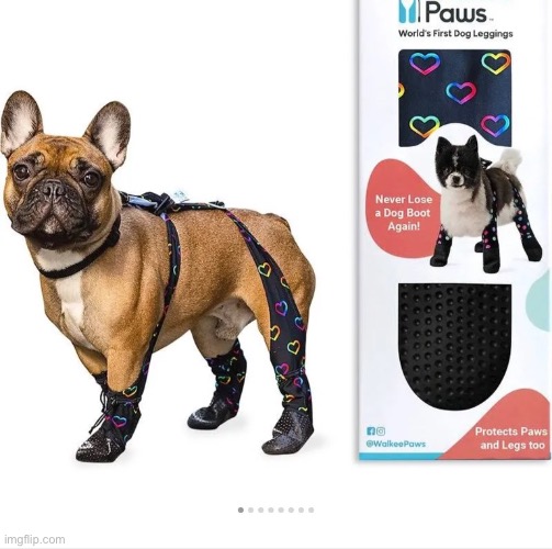 @potat try putting these on your dog | image tagged in dog stockings | made w/ Imgflip meme maker