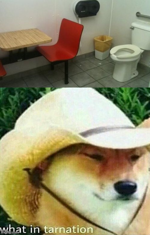 Table chair in restroom | image tagged in what in tarnation,restroom,bathroom,toilet,you had one job,memes | made w/ Imgflip meme maker