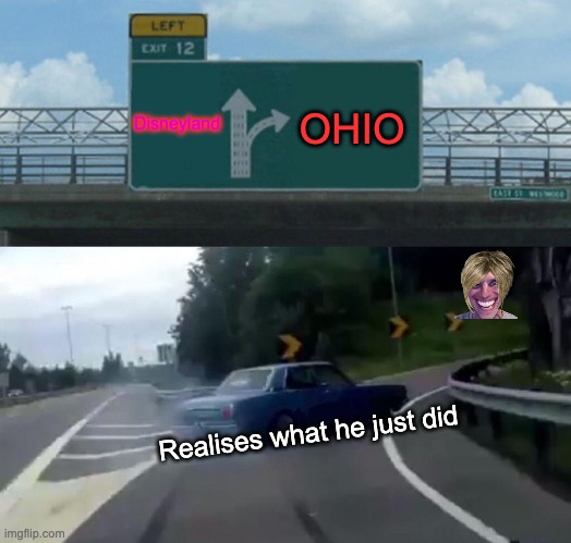 Left Exit 12 Off Ramp Meme | Disneyland; OHIO; Realises what he just did | image tagged in memes,left exit 12 off ramp | made w/ Imgflip meme maker