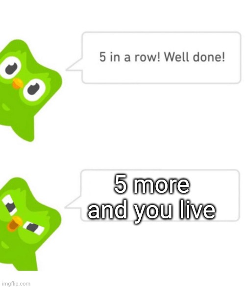 Duolingo 5 in a row | 5 more and you live | image tagged in duolingo 5 in a row | made w/ Imgflip meme maker